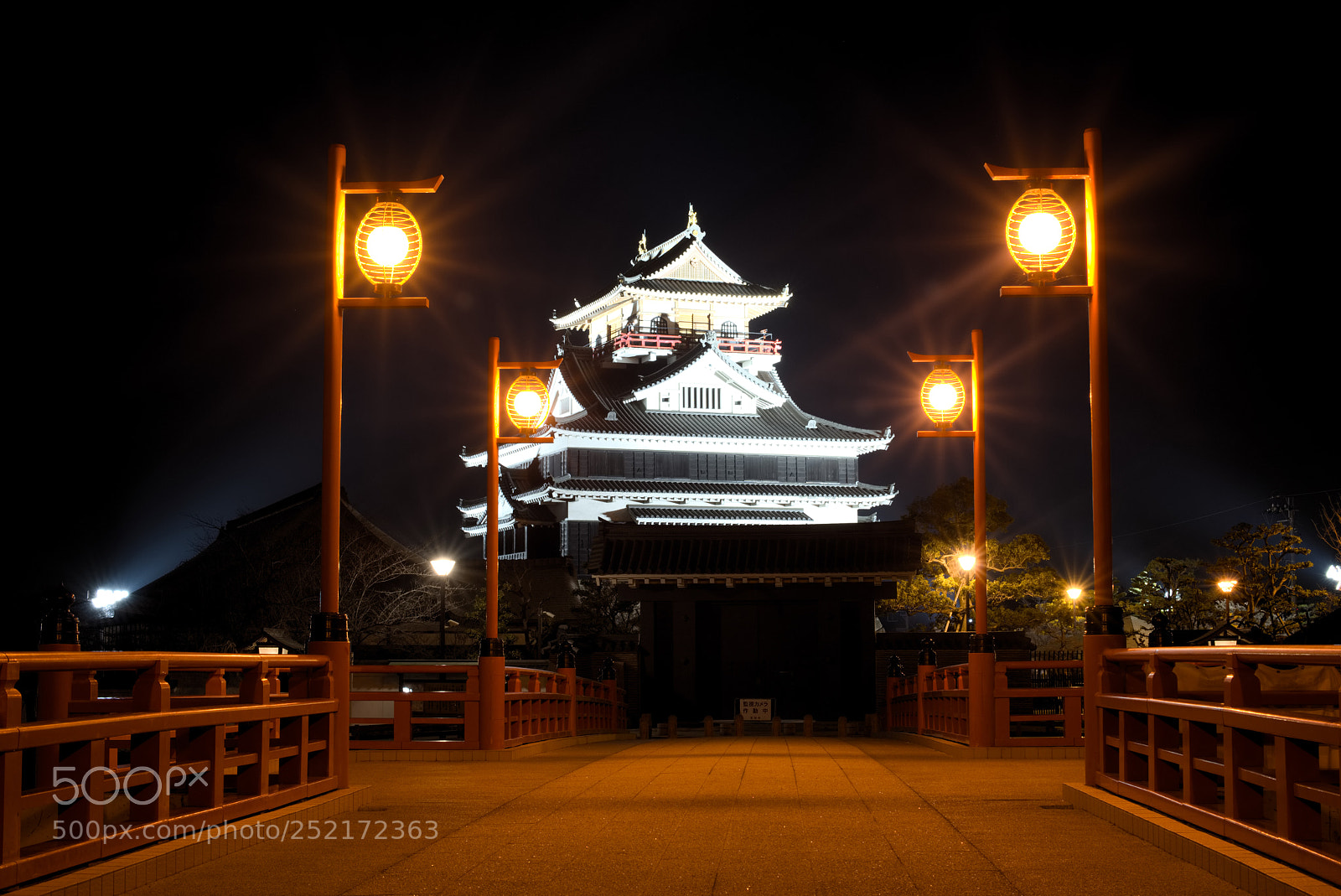 Nikon D810 sample photo. Kiyosu castle in night... photography
