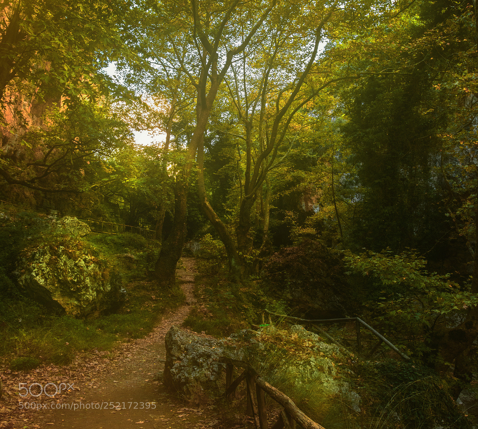 Nikon D5200 sample photo. The path to the photography