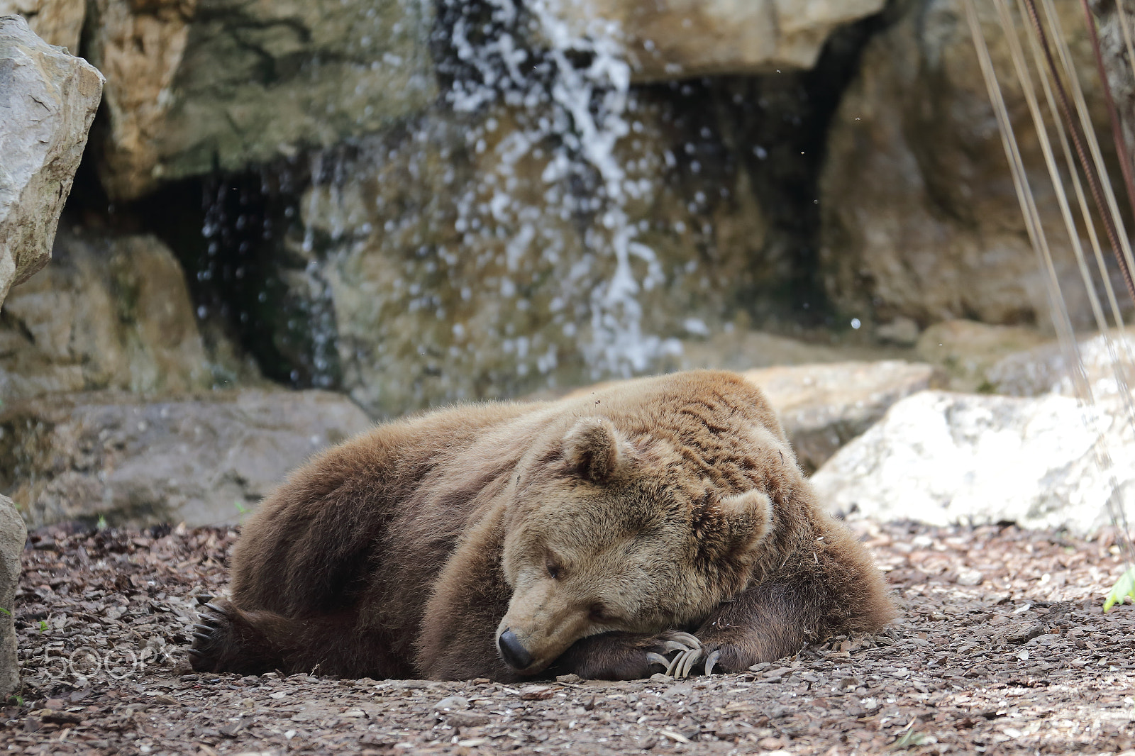 Canon EOS-1D X sample photo. Al parco delle cornelle photography