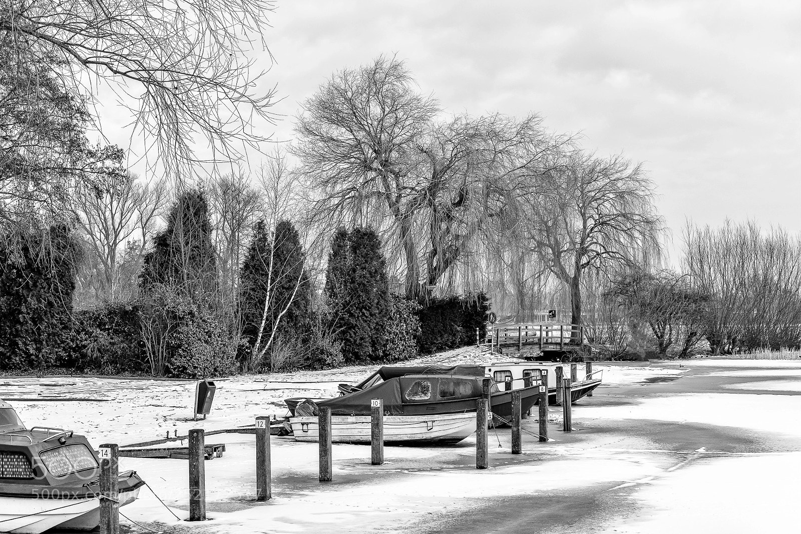Fujifilm X-T2 sample photo. Haven maasdam in winter photography