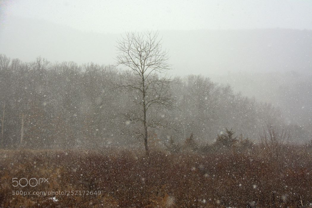 Nikon D7100 sample photo. Snowsquall at the shawangunks photography