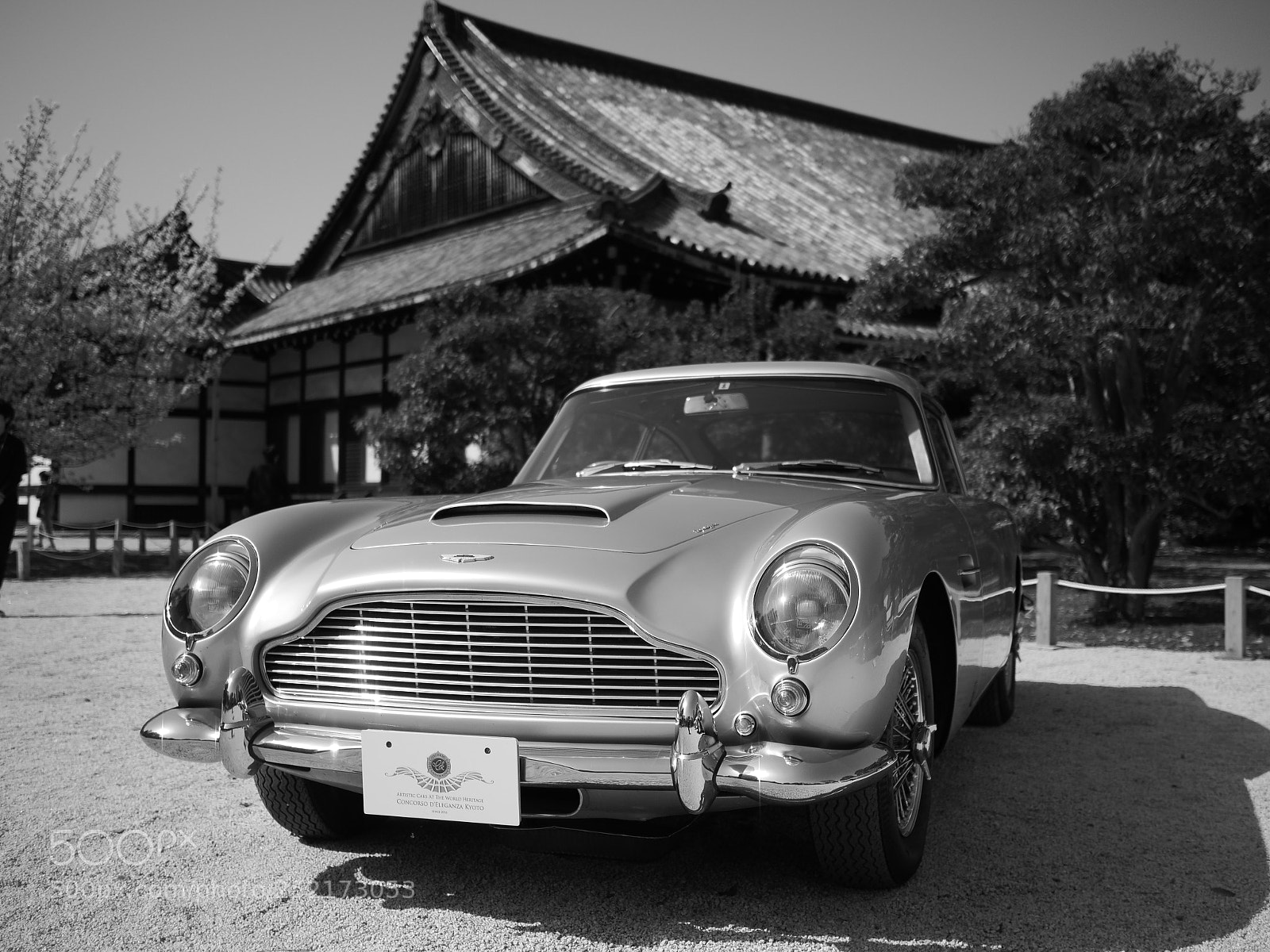 Panasonic Lumix DC-GH5 sample photo. Db5 photography