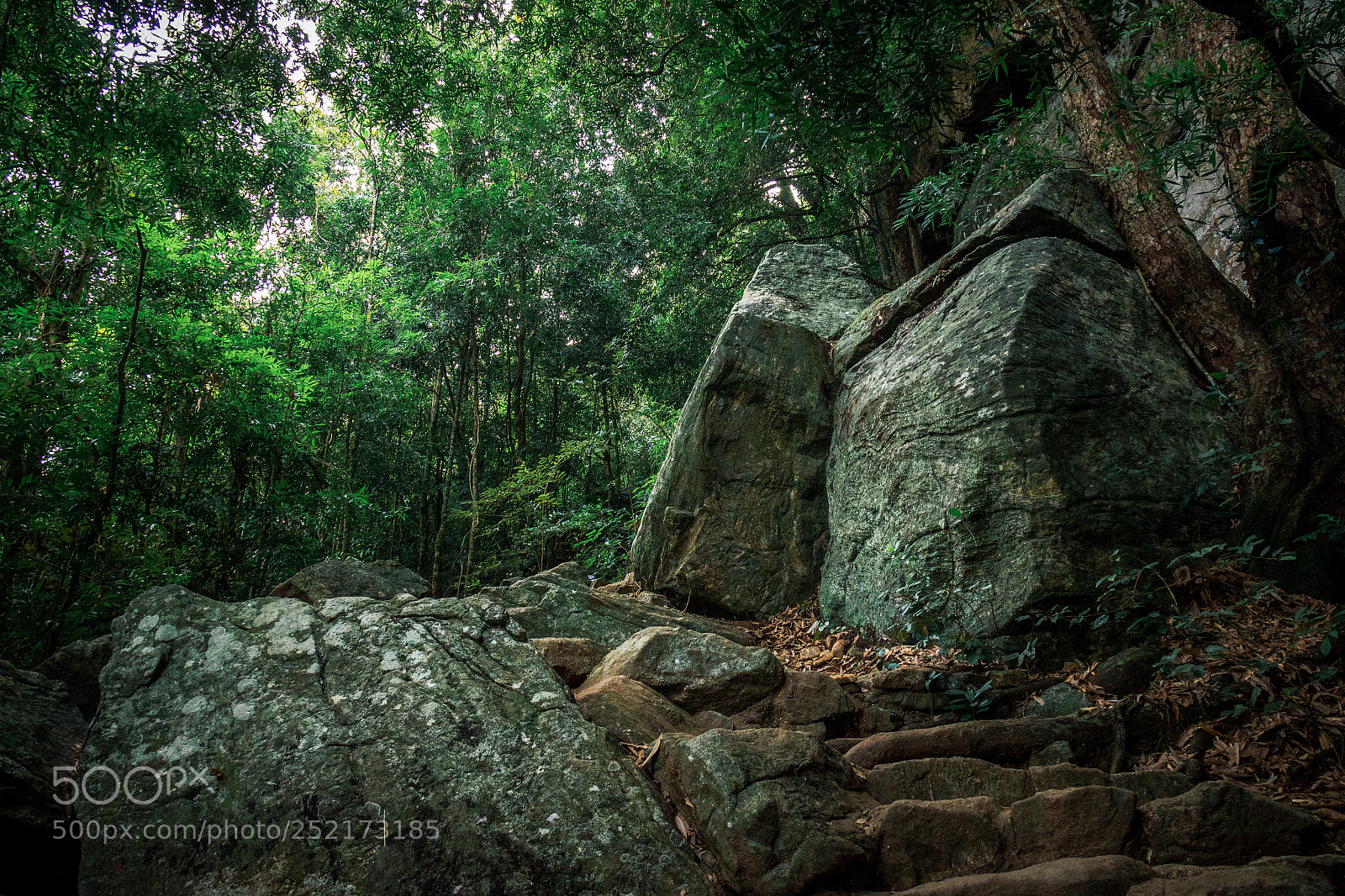 Canon EOS 600D (Rebel EOS T3i / EOS Kiss X5) sample photo. Climbing pidurangala photography