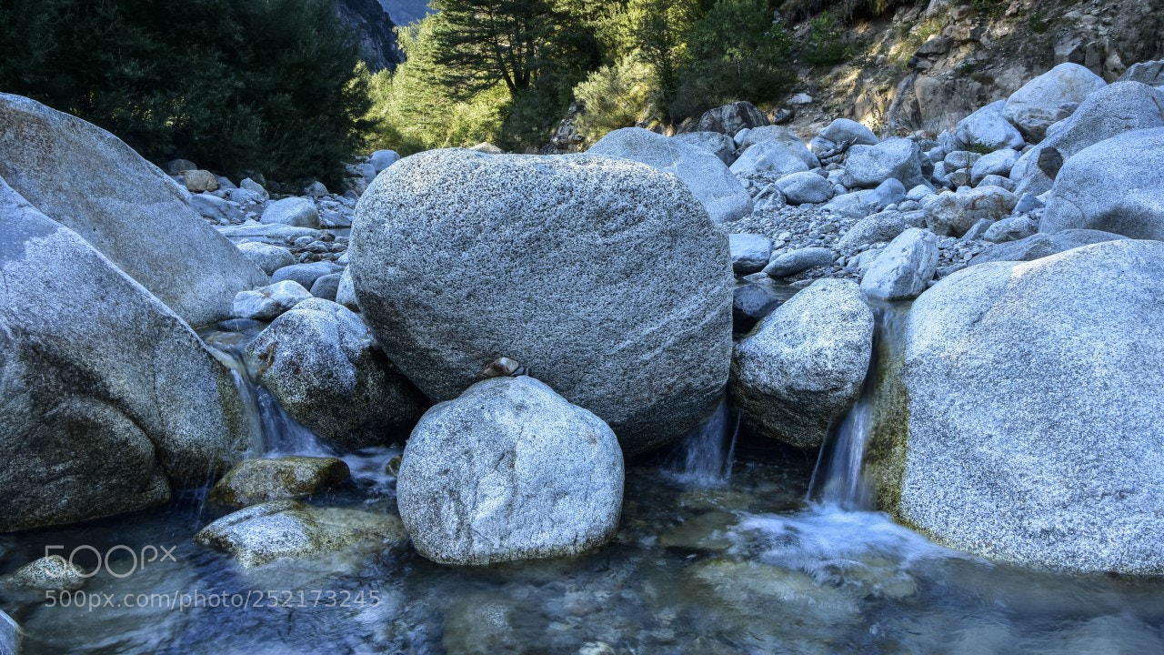 Nikon D7200 sample photo. Parzan 2 photography