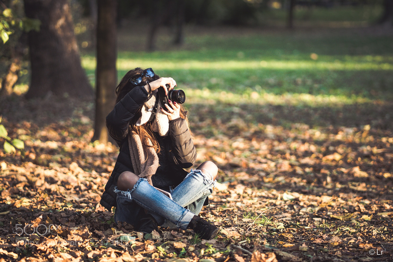 Sony a6500 sample photo. Golden fall  photography