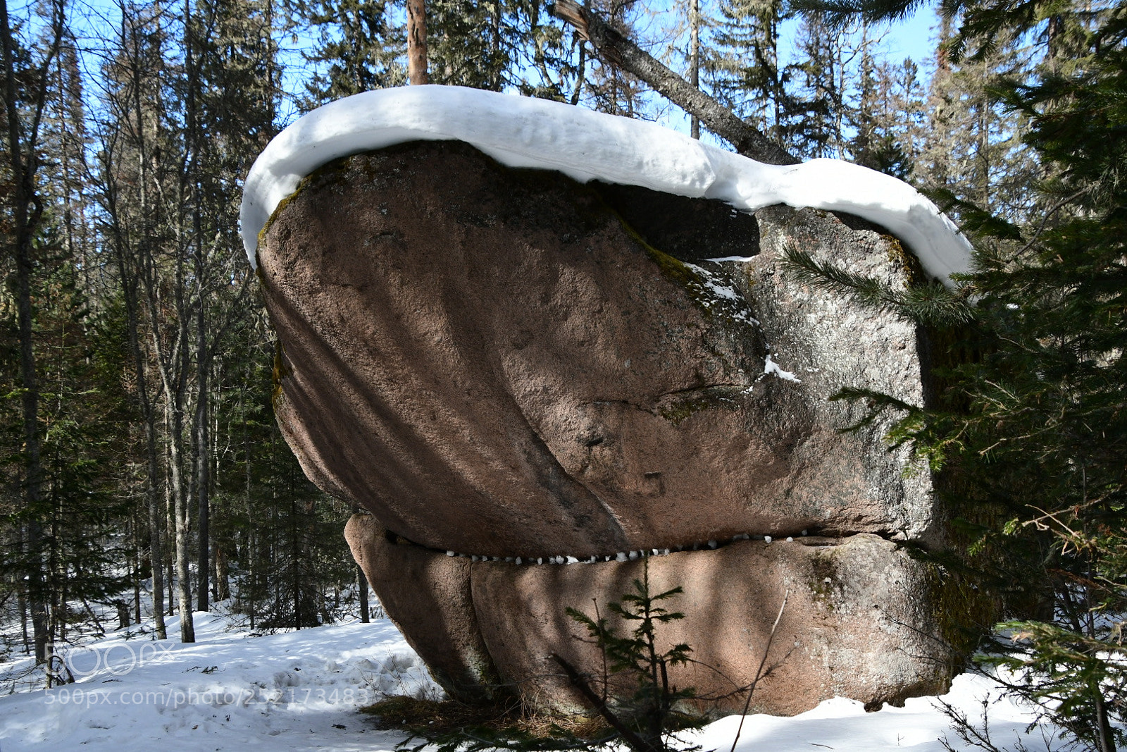 Nikon D500 sample photo. Скала Акула photography