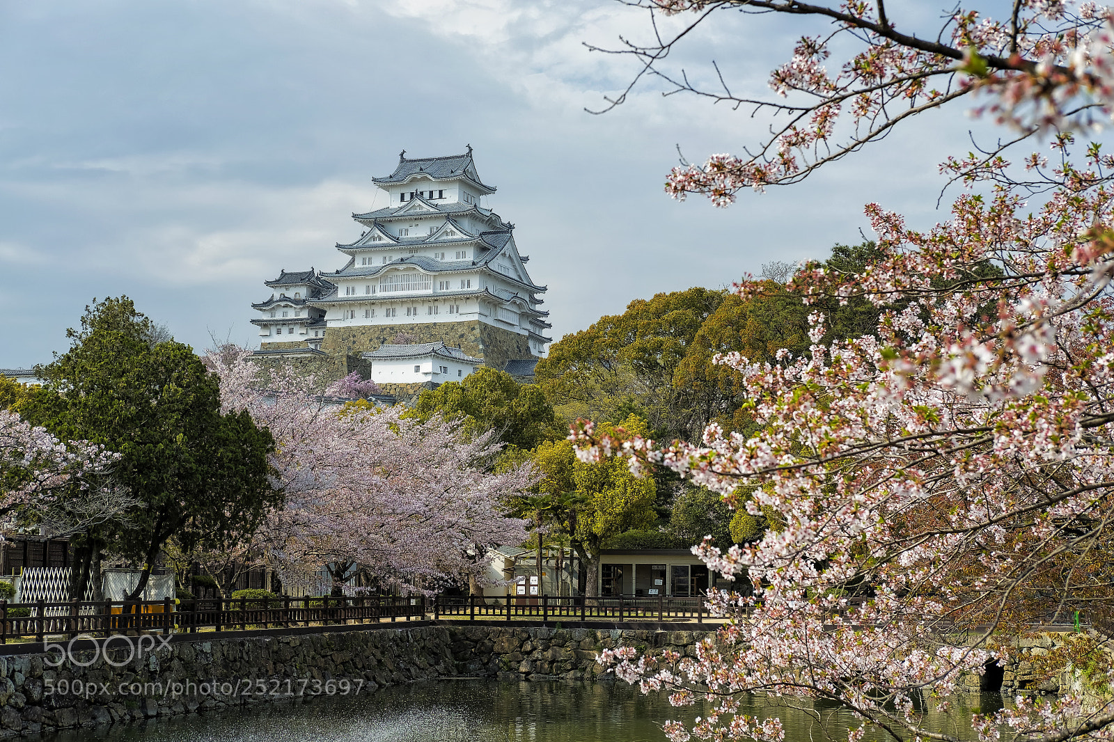 Fujifilm X-T2 sample photo. Himeji castle sakura photography