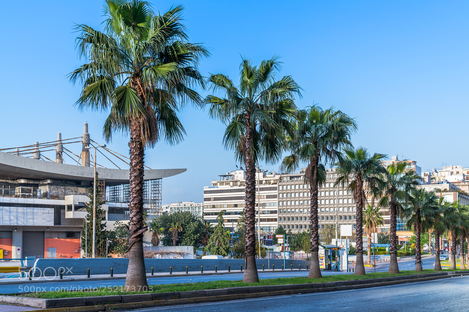Sony a7R III sample photo. Palm trees photography