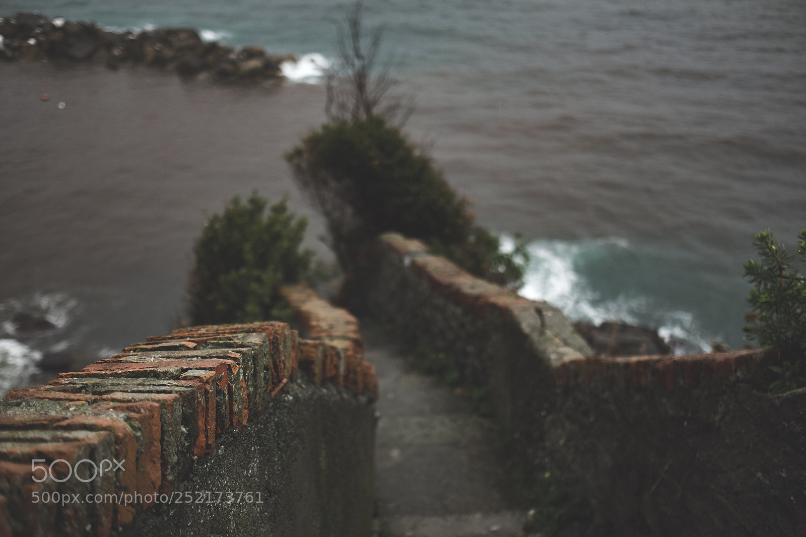 Fujifilm X-T10 sample photo. To the ocean photography