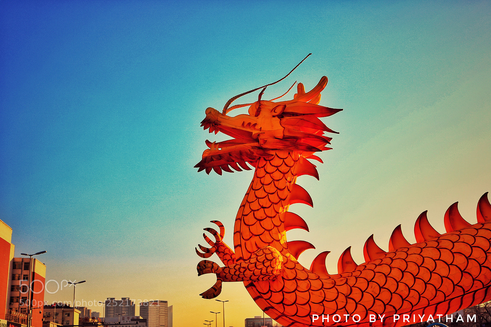 Canon EOS 750D (EOS Rebel T6i / EOS Kiss X8i) sample photo. Dragon in the city photography