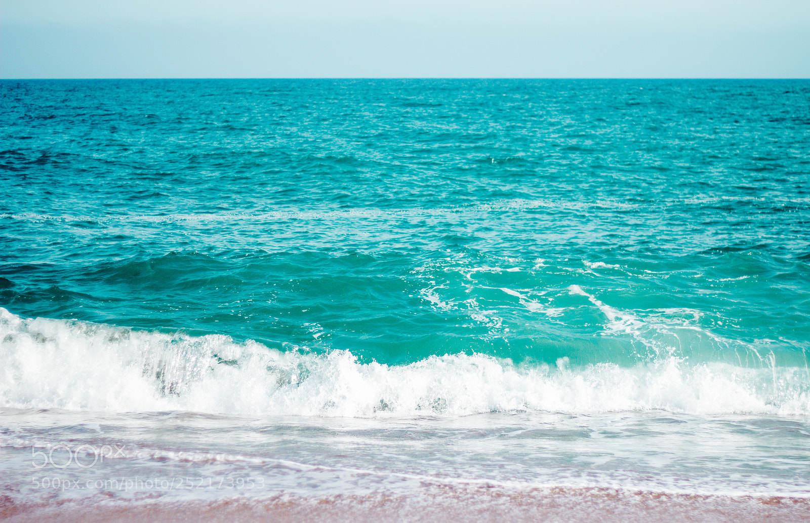 Canon EOS 60D sample photo. Blue or die photography