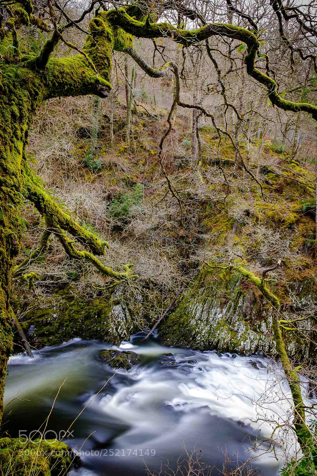 Fujifilm X-Pro2 sample photo. Woodland falls photography