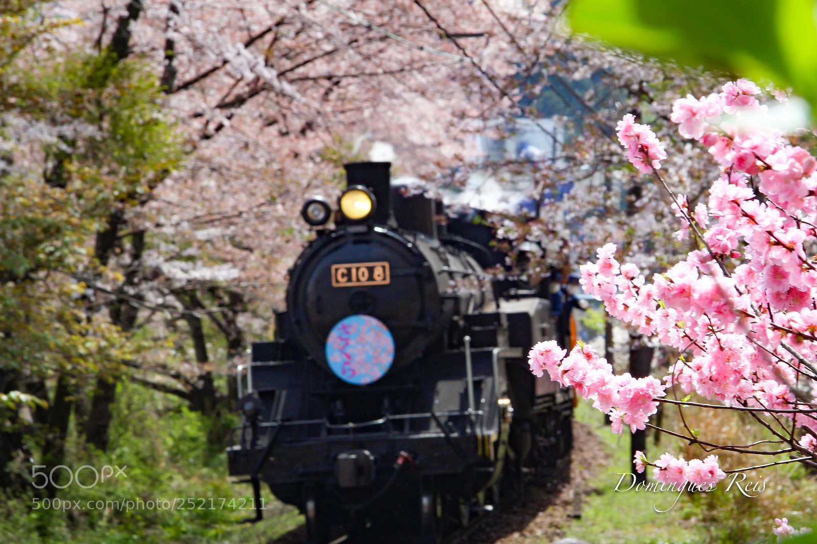 Canon EOS 7D sample photo. Sakura kanaya photography