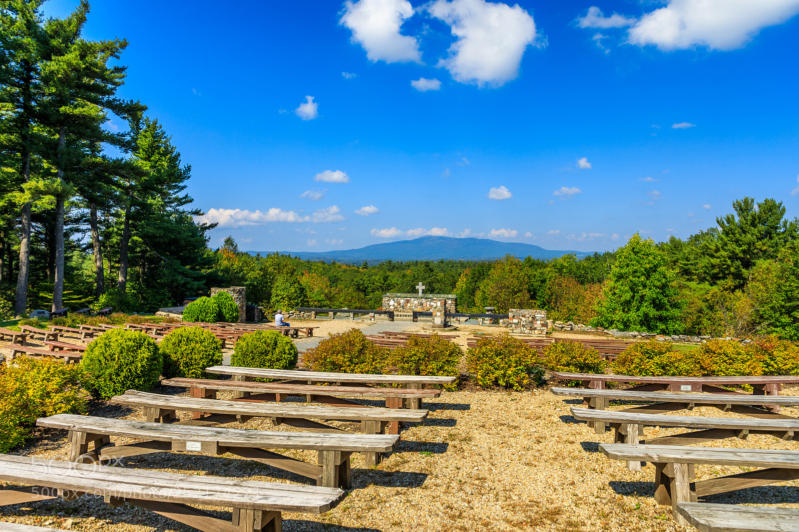 Canon EOS 5D Mark IV sample photo. Nh-rindge-cathedral of the pines photography