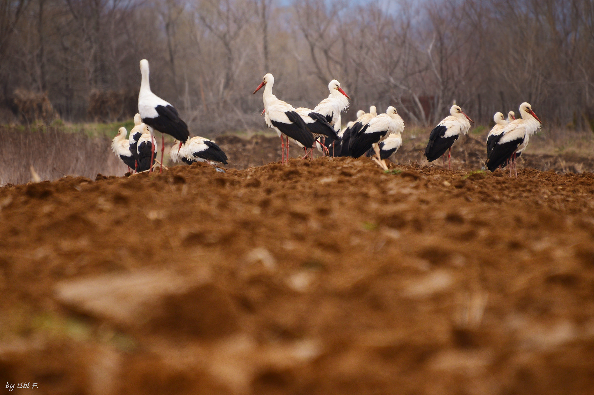 Nikon D7000 sample photo. Unsafe haven photography