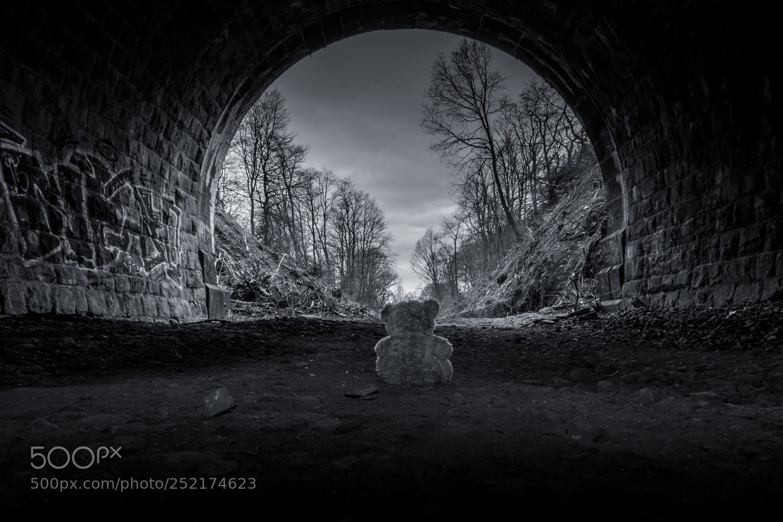 Nikon D7100 sample photo. Tristesse photography