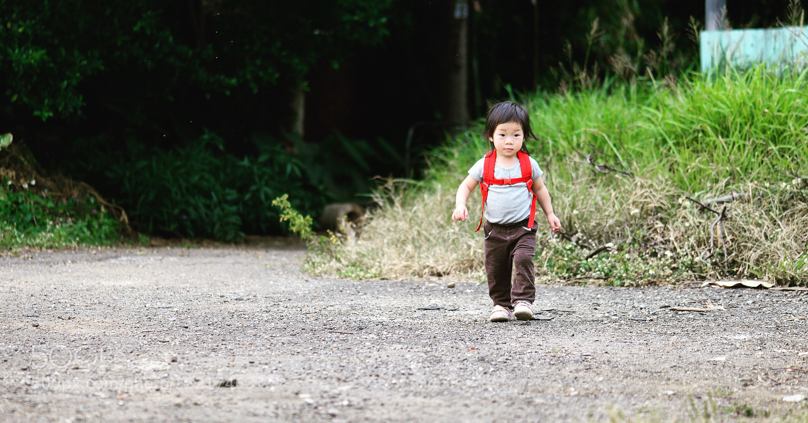 Nikon D800 sample photo. Untitled photography