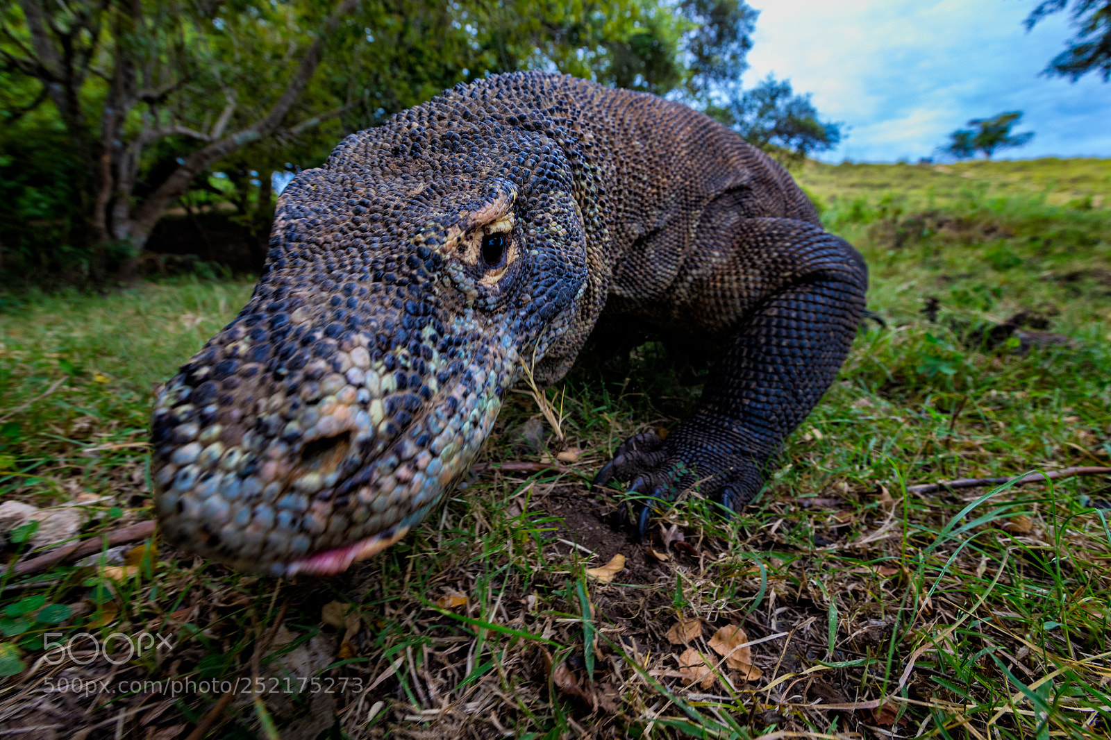 Canon EOS 5D Mark IV sample photo. Close call photography