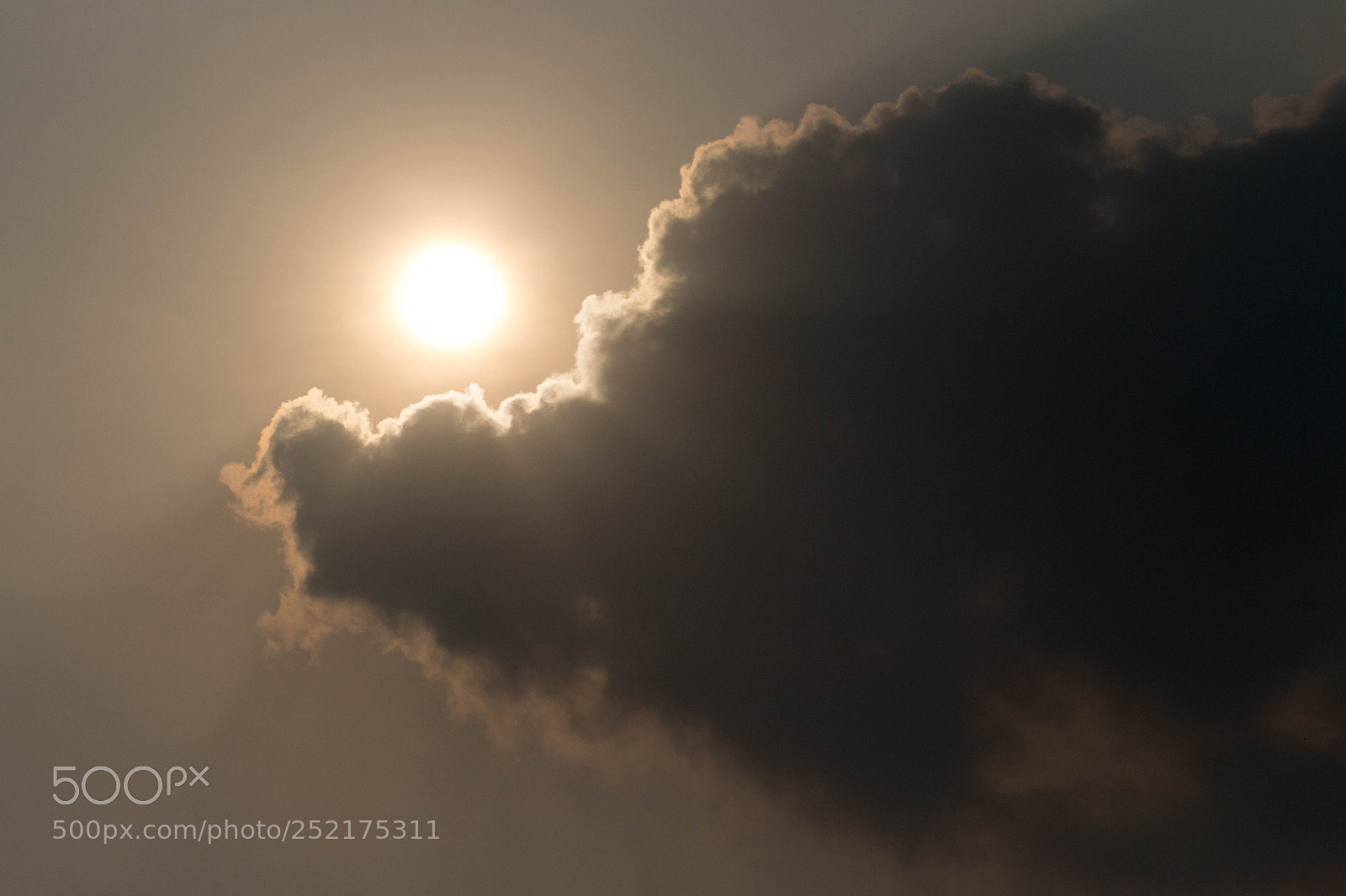 Canon EOS 700D (EOS Rebel T5i / EOS Kiss X7i) sample photo. The evening sun with photography
