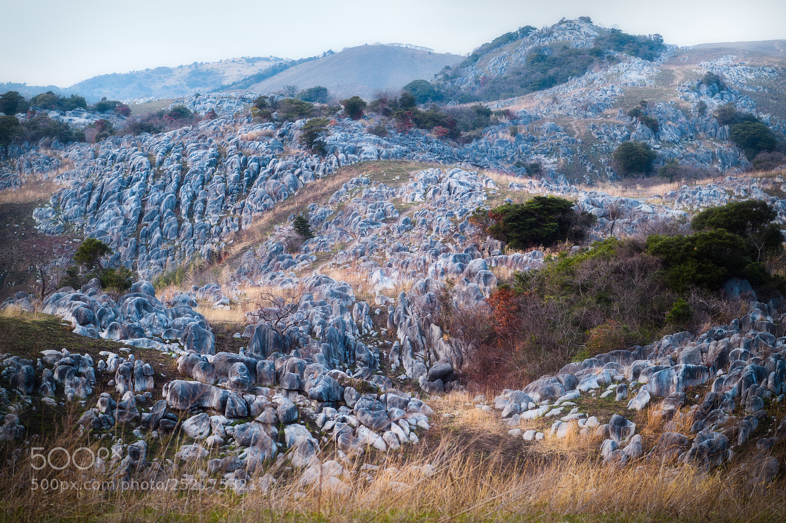 Nikon D5 sample photo. Rock photography