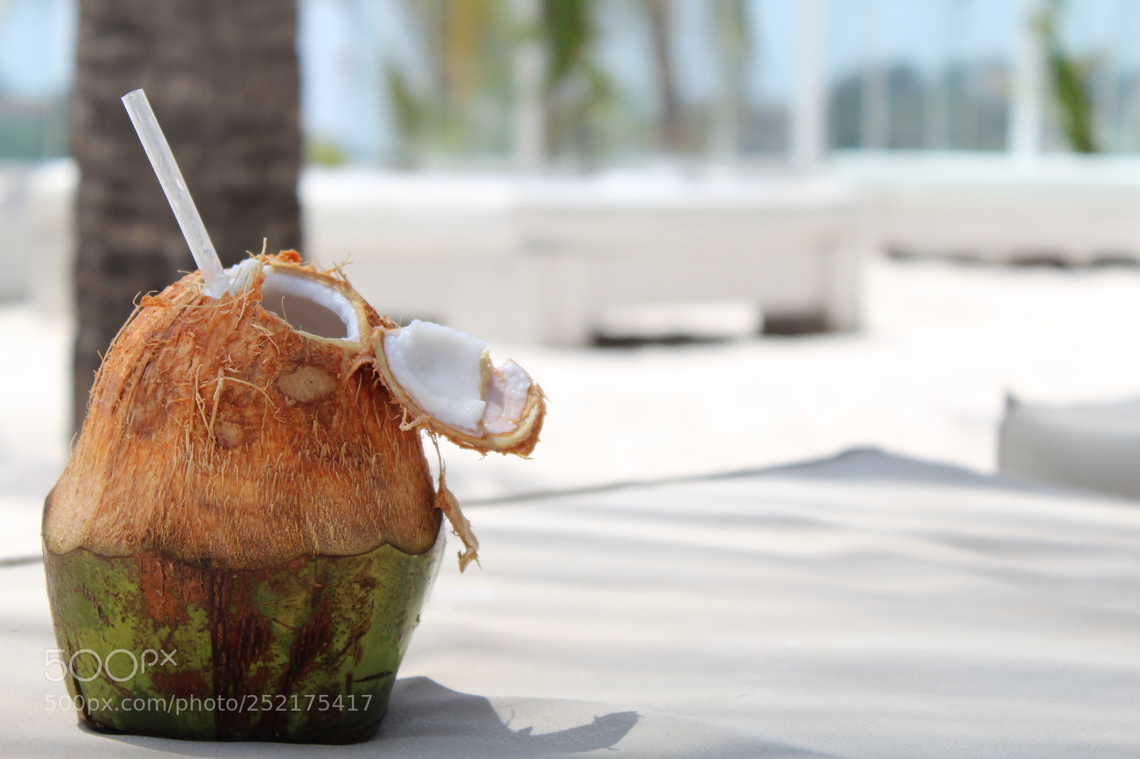 Canon EOS 1300D (EOS Rebel T6 / EOS Kiss X80) sample photo. Cocco fresh photography