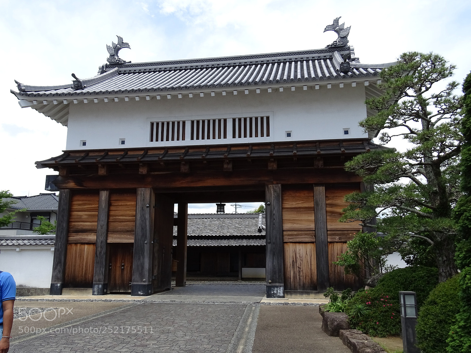Sony Cyber-shot DSC-HX400V sample photo. Dsc photography