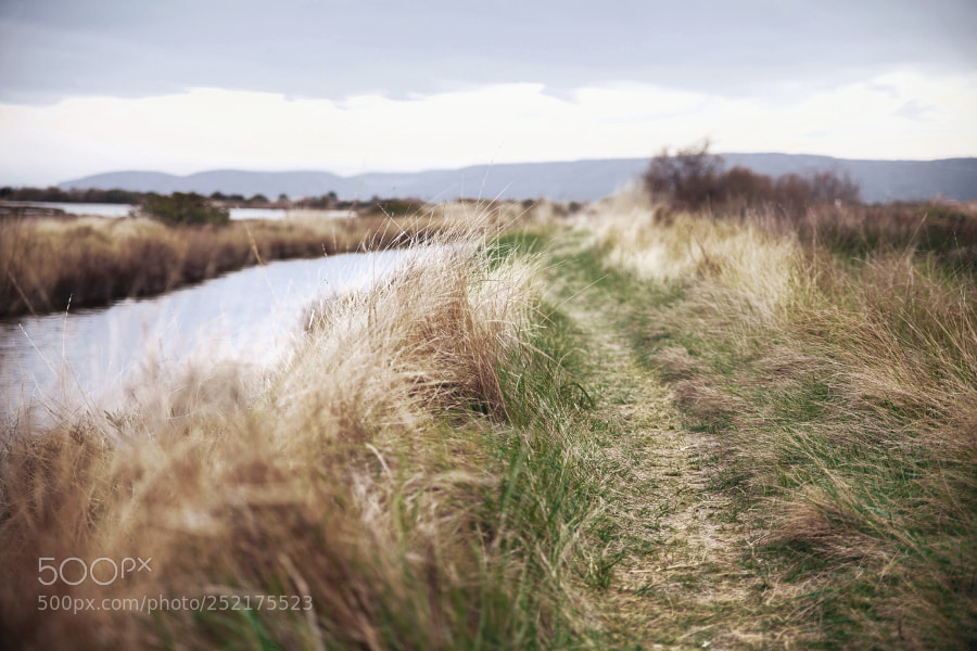 Canon EOS 5D Mark II sample photo. Une caresse du vent photography