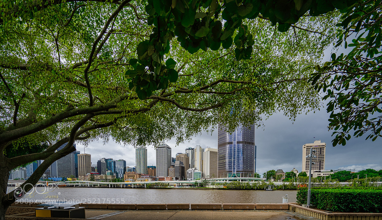 Sony a7 III sample photo. Brisbane. photography