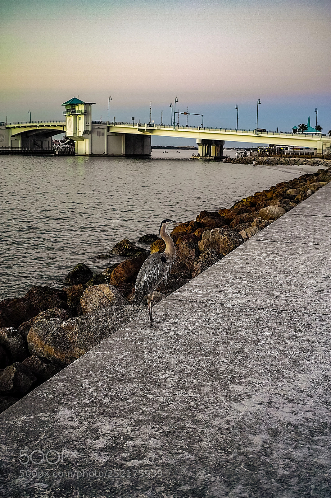 Sigma DP2 Merrill sample photo. Treasure island photography