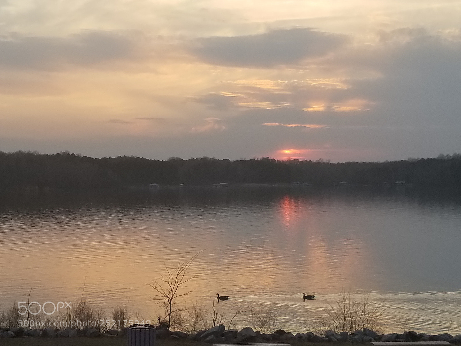 Samsung Galaxy S8+ sample photo. Untitled photography