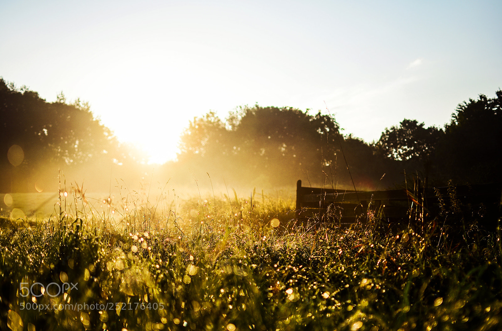 Nikon D5200 sample photo. Meadow at sunrise photography