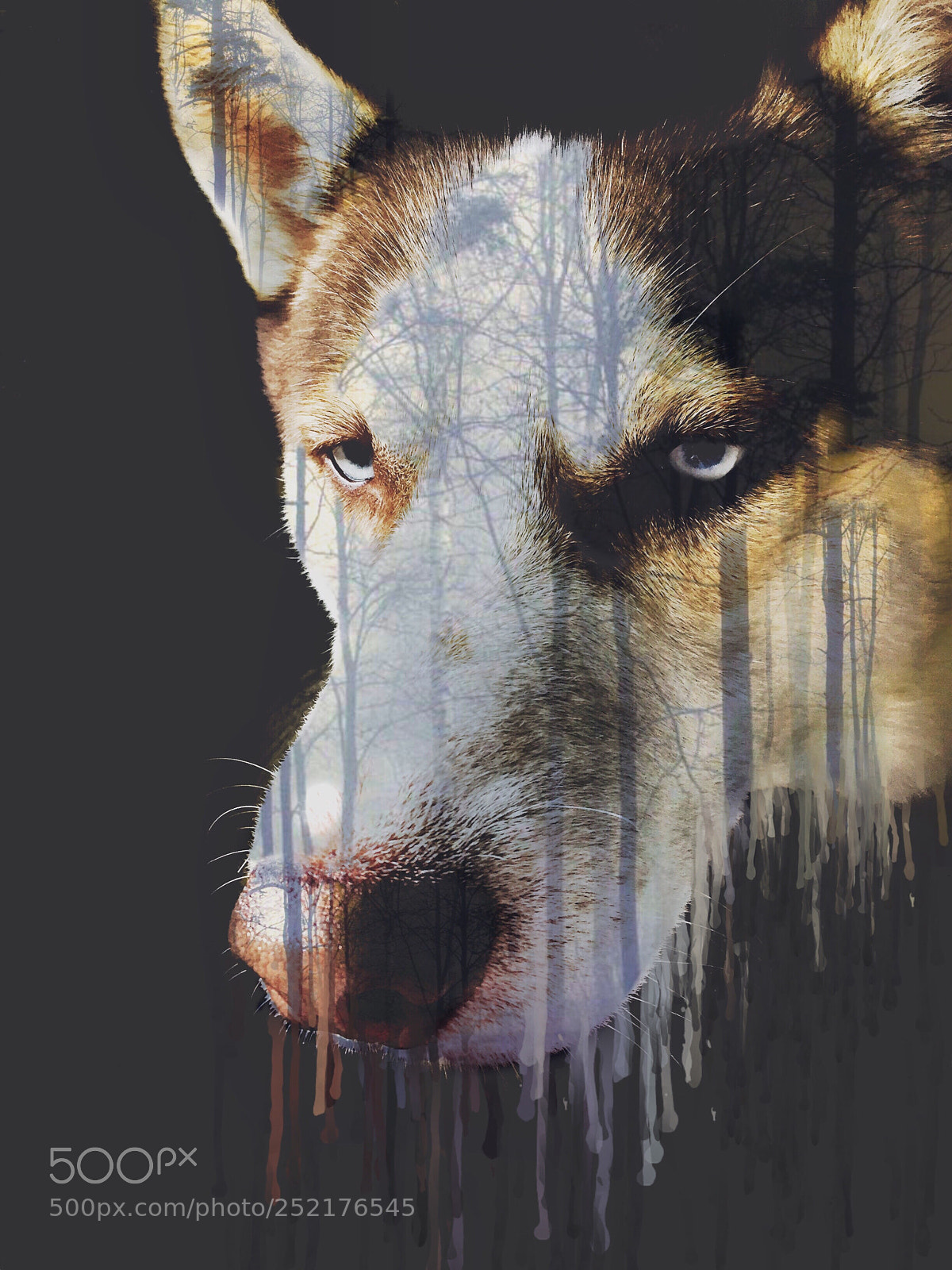 Apple iPhone 6 sample photo. Grime dog photography