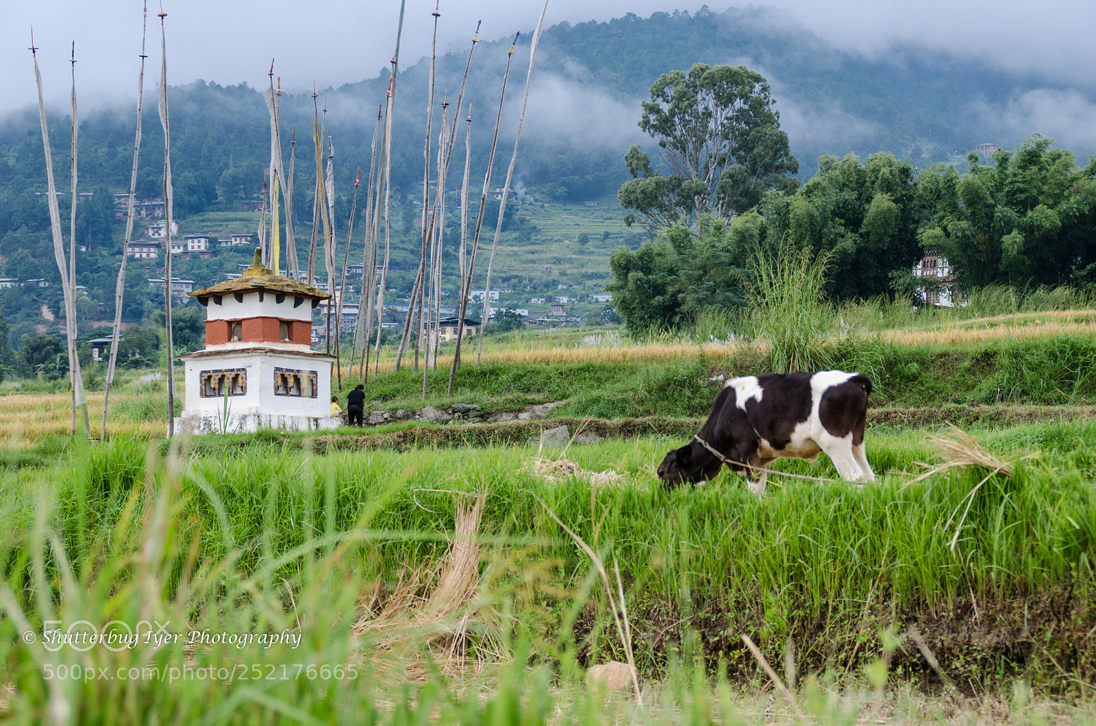 Nikon D7000 sample photo. Punakha, bhutan photography