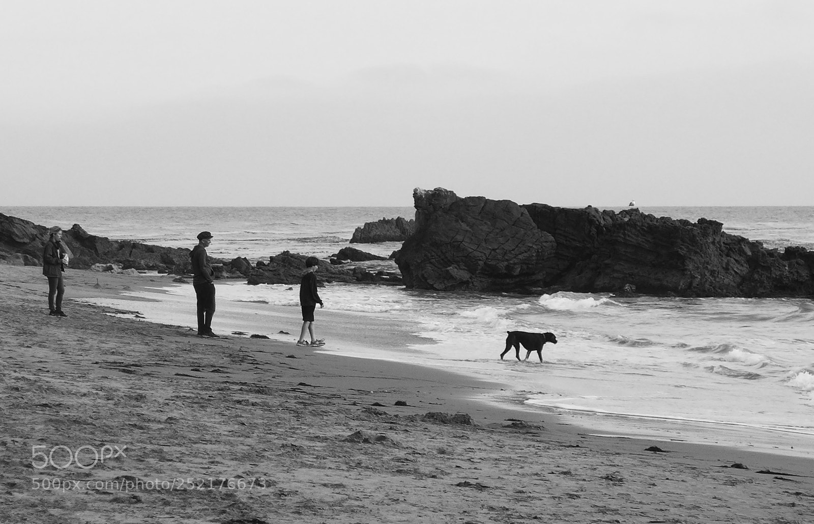 Panasonic Lumix DMC-LX7 sample photo. We are family photography