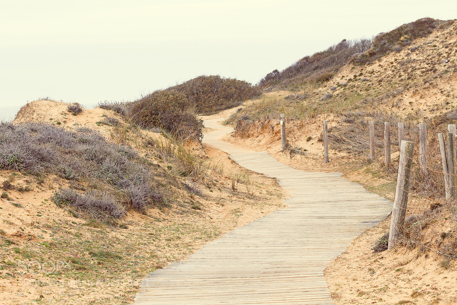 Canon EOS 7D sample photo. Along the coast photography