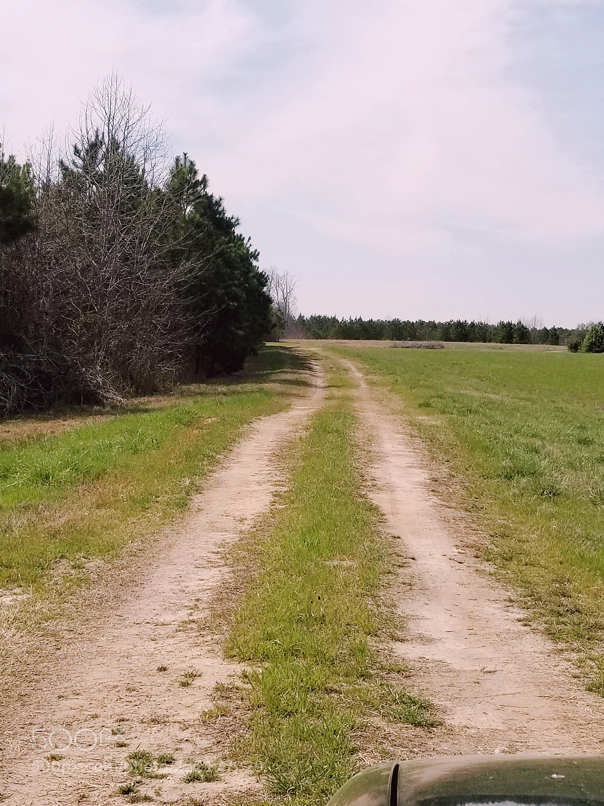 Samsung Galaxy S8+ sample photo. Untitled photography