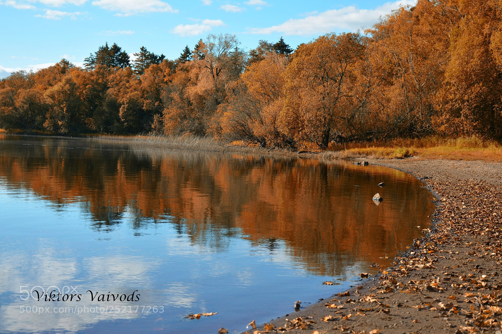 Nikon D7100 sample photo. Untitled photography