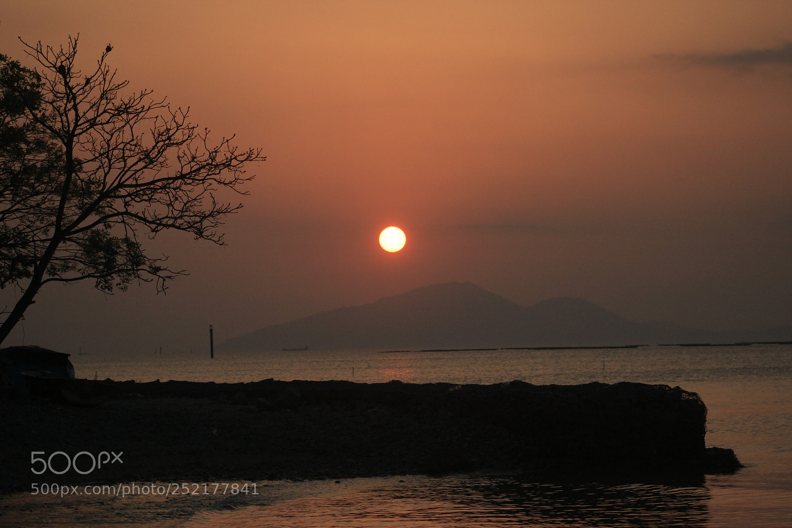 Canon EOS 500D (EOS Rebel T1i / EOS Kiss X3) sample photo. We love nature #5 photography