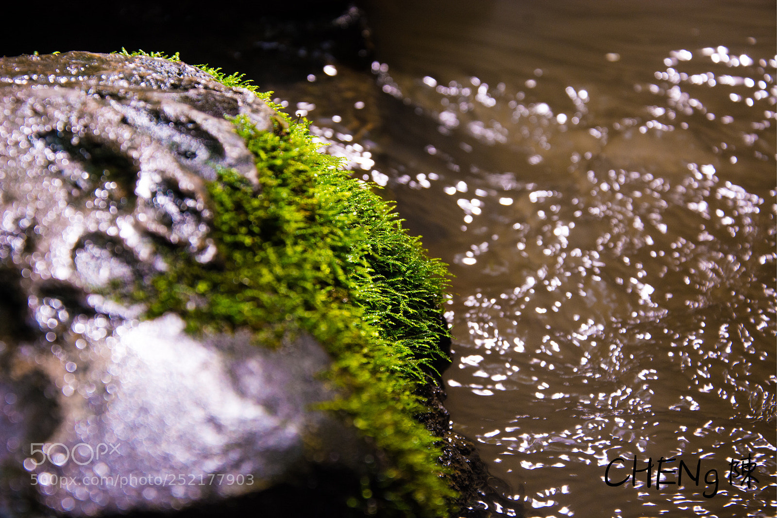Nikon D7100 sample photo. Untitled photography