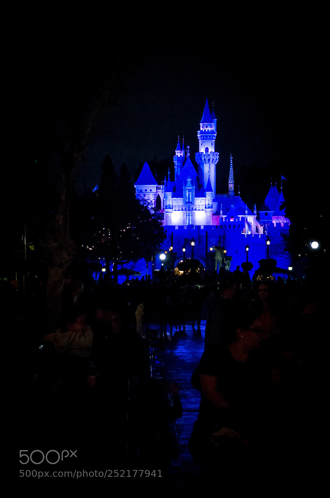 Sony Alpha NEX-6 sample photo. Snow white blue at photography