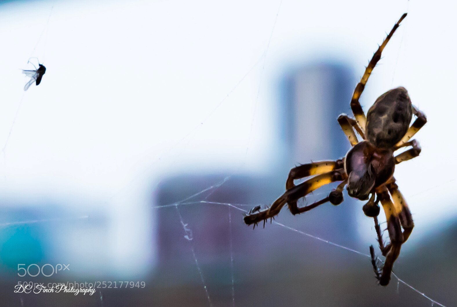 Canon EOS 5D Mark IV sample photo. Lunchtime  photography
