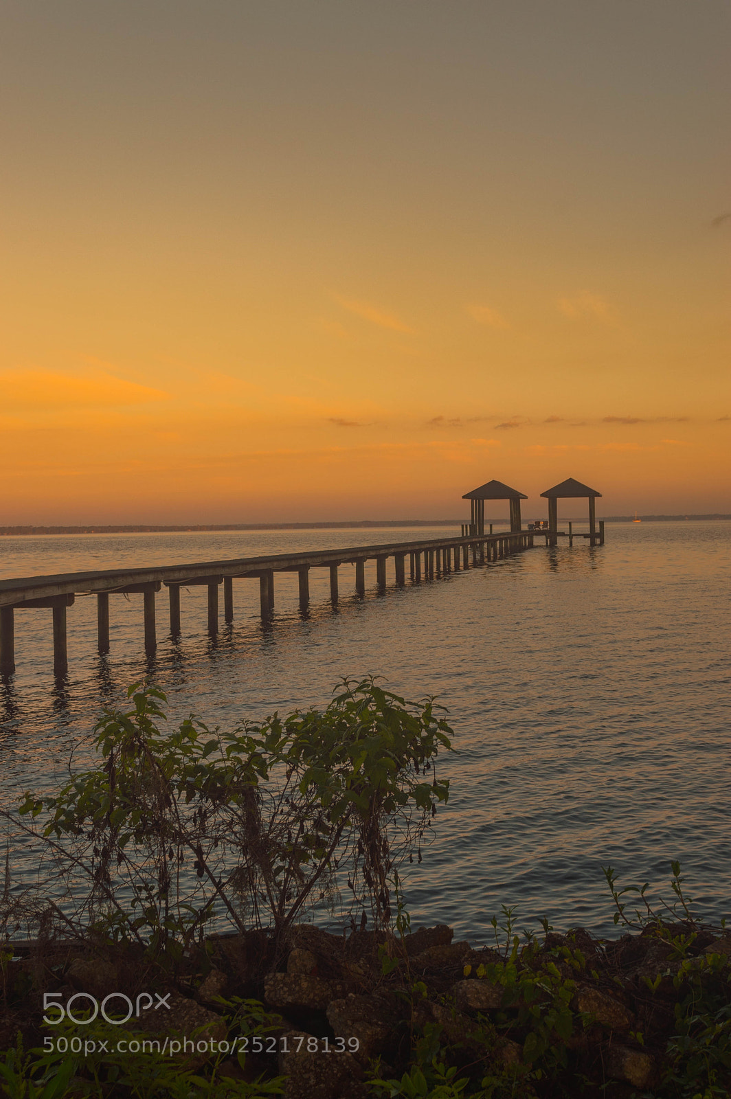 Nikon D3200 sample photo. Untitled photography