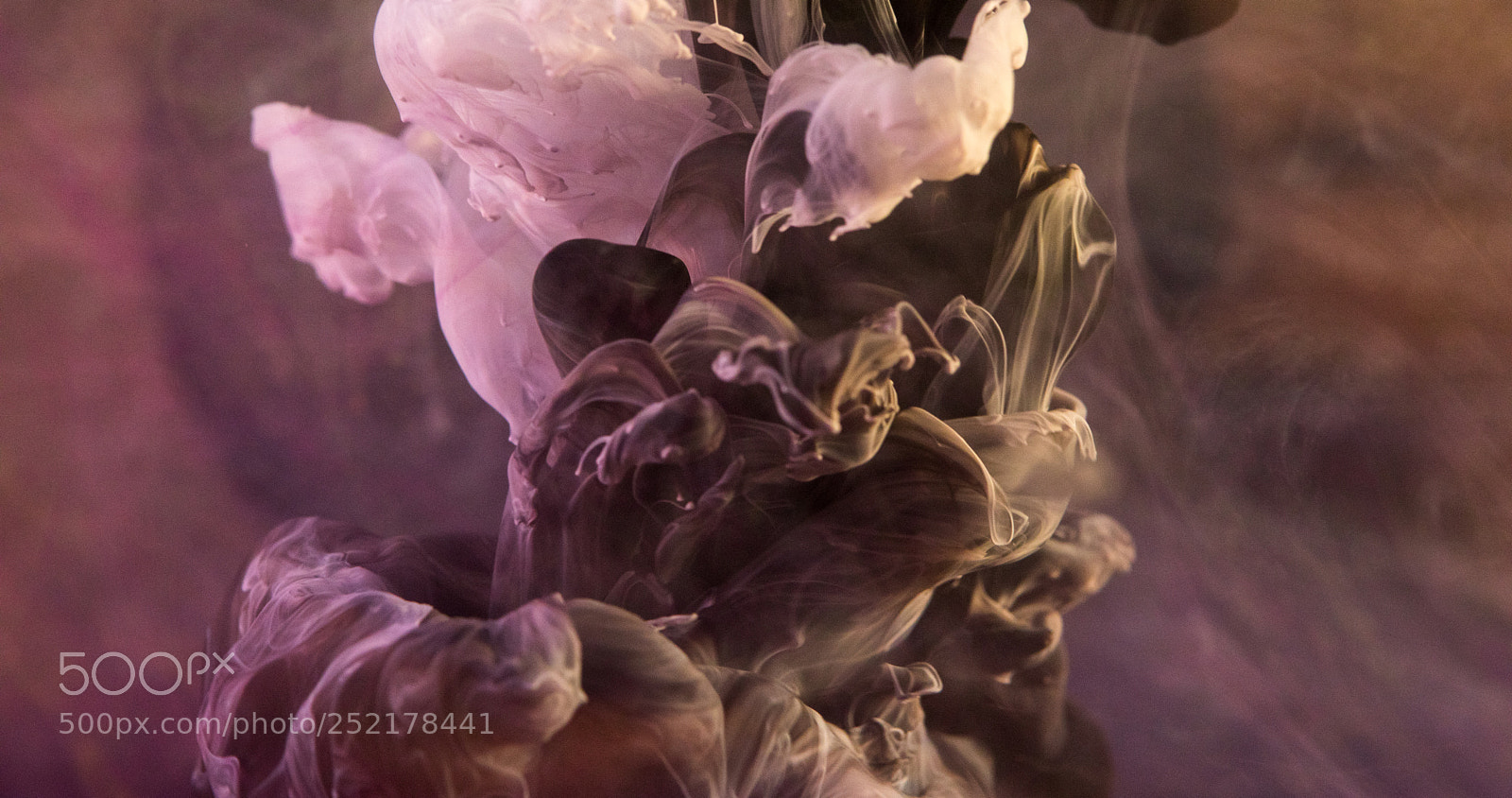 Canon EOS 5D Mark IV sample photo. Calderon paintfinal photography