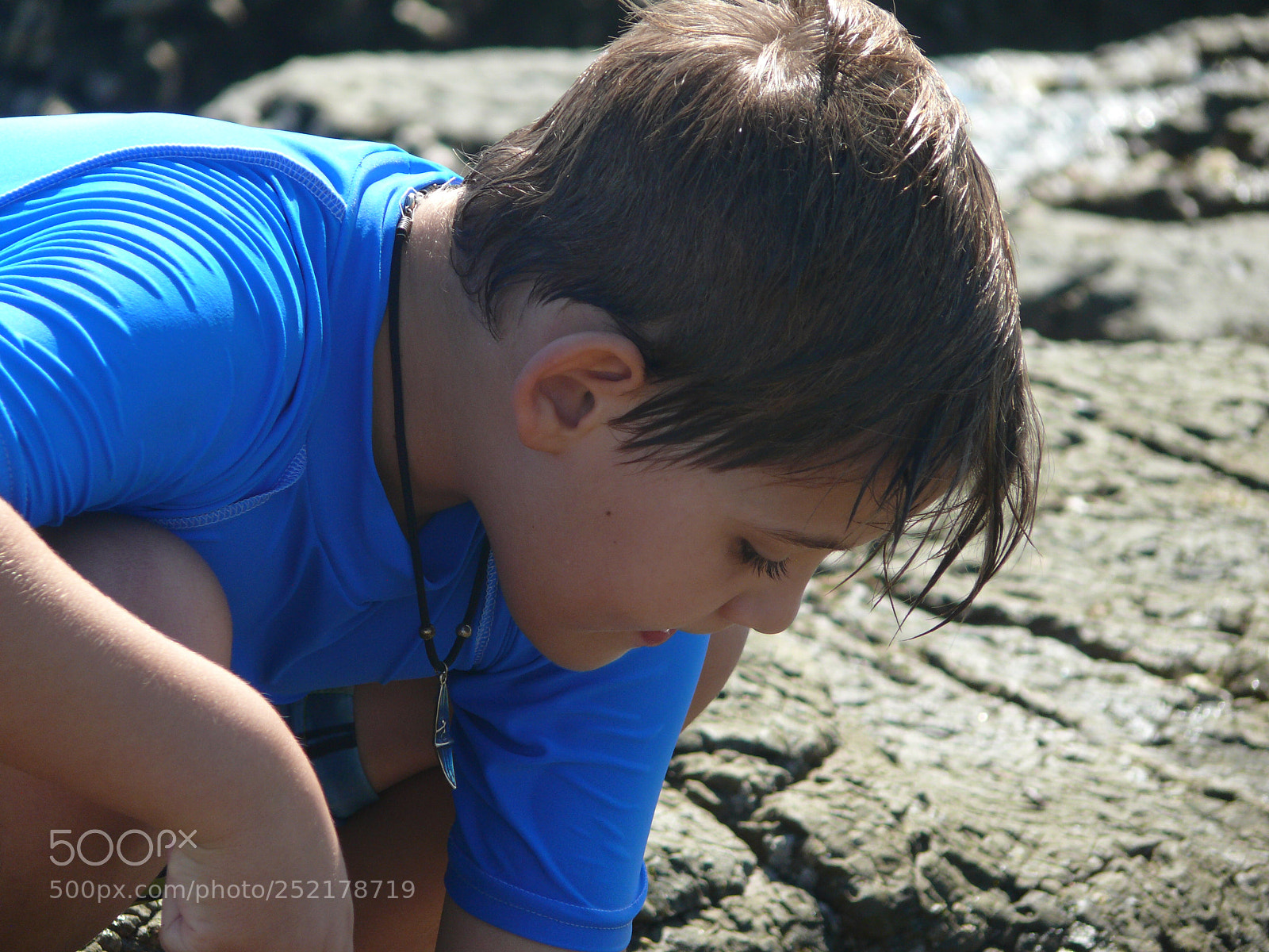 Panasonic DMC-FZ50 sample photo. Catching small fishes photography