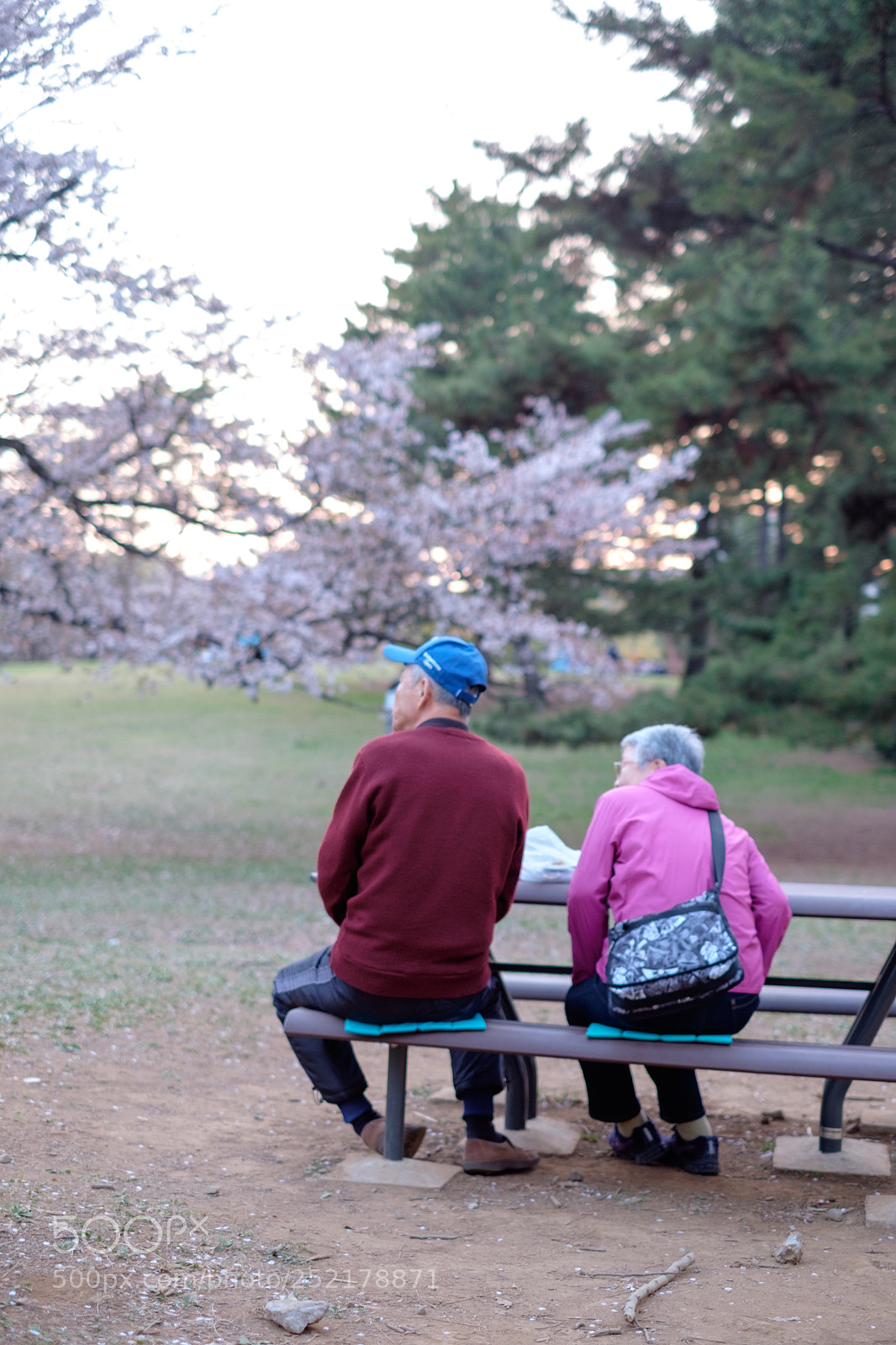Fujifilm X-T1 sample photo. Image photography