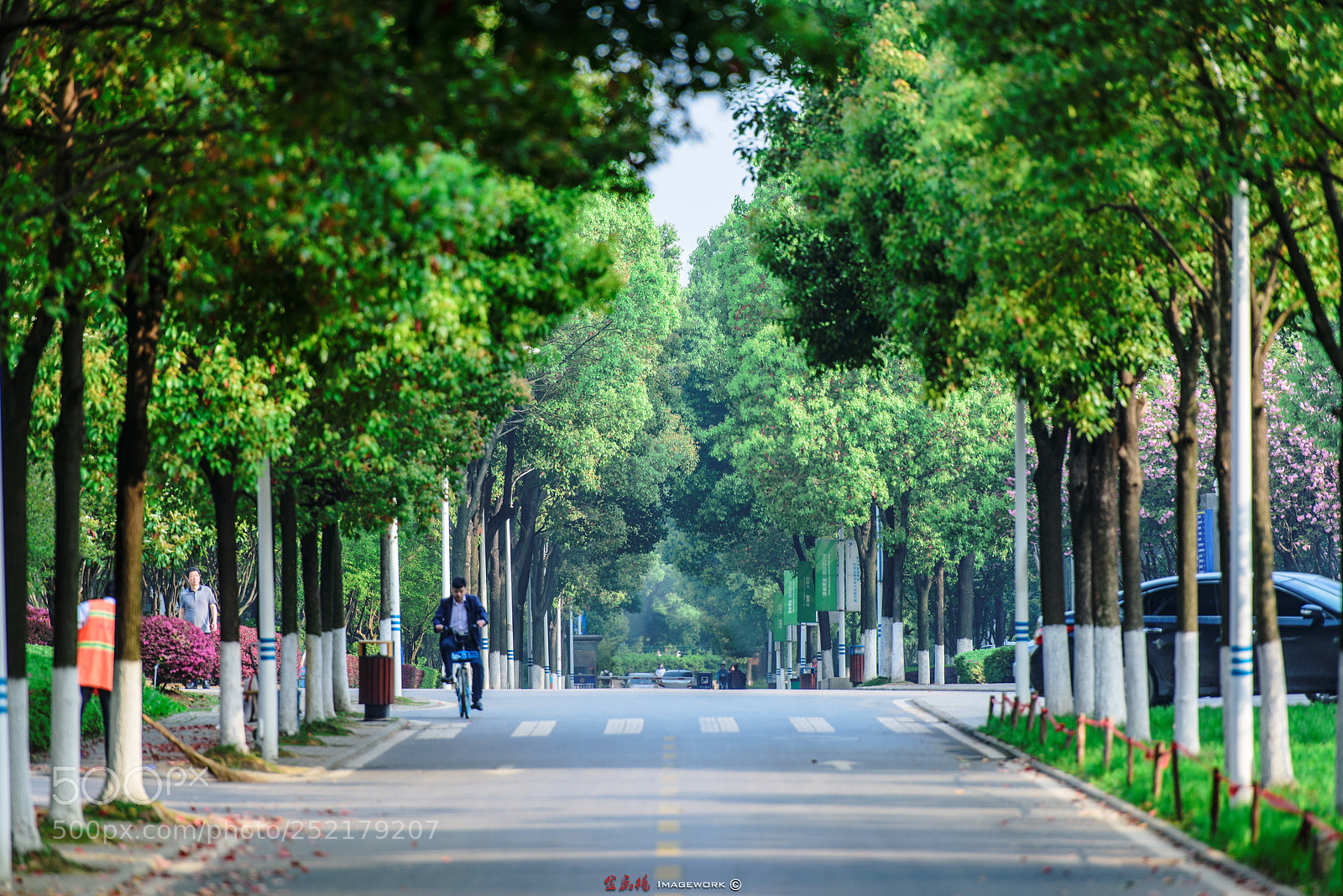 Nikon D810 sample photo. Good morning photography