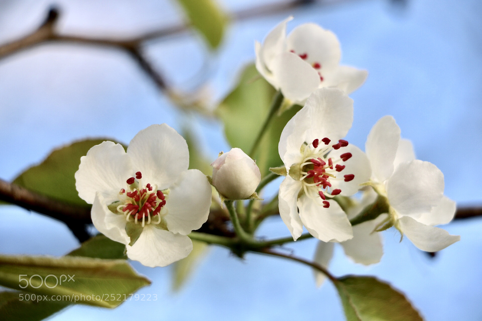Canon EOS 750D (EOS Rebel T6i / EOS Kiss X8i) sample photo. Untitled photography