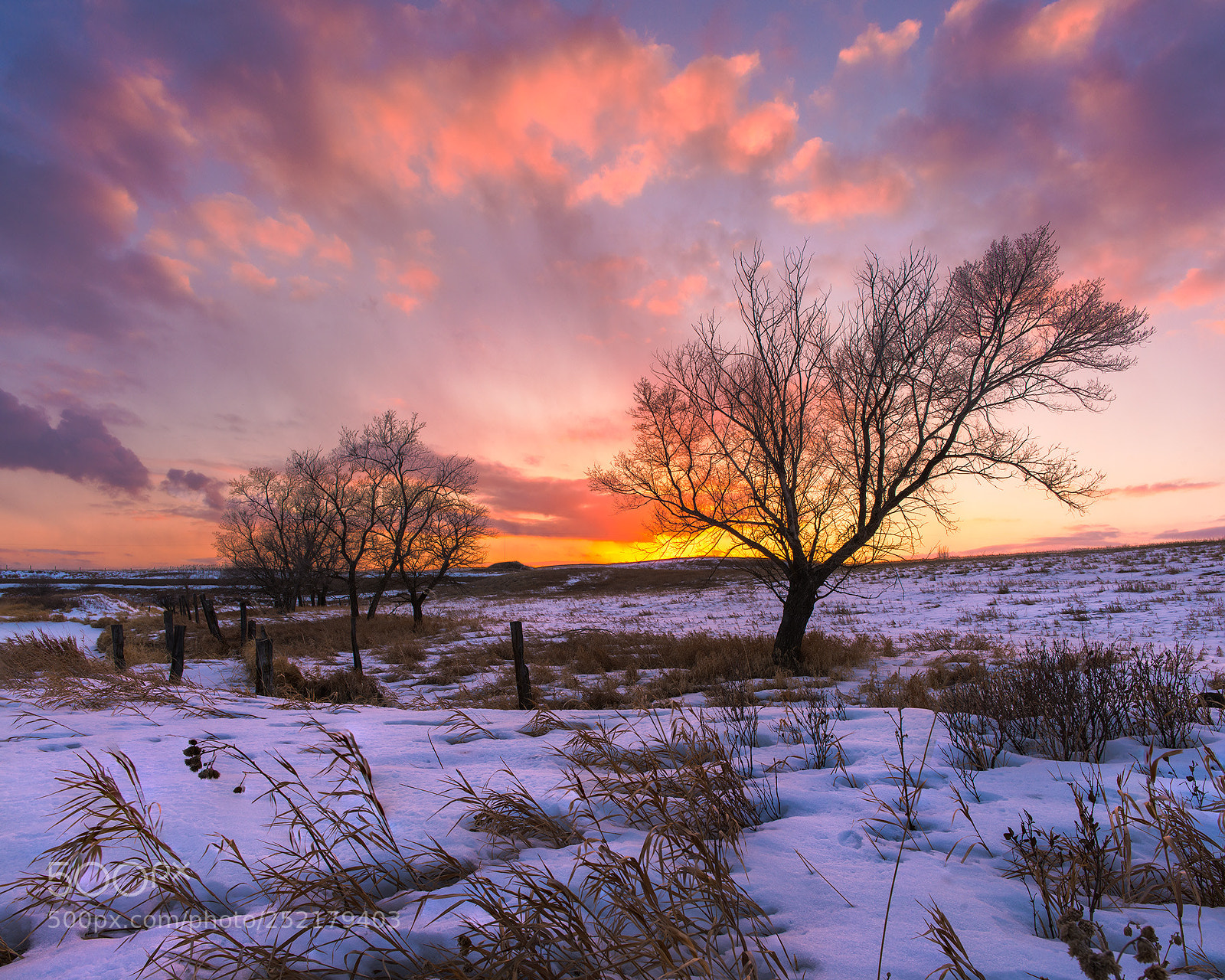 Nikon D800E sample photo. Race to the light photography