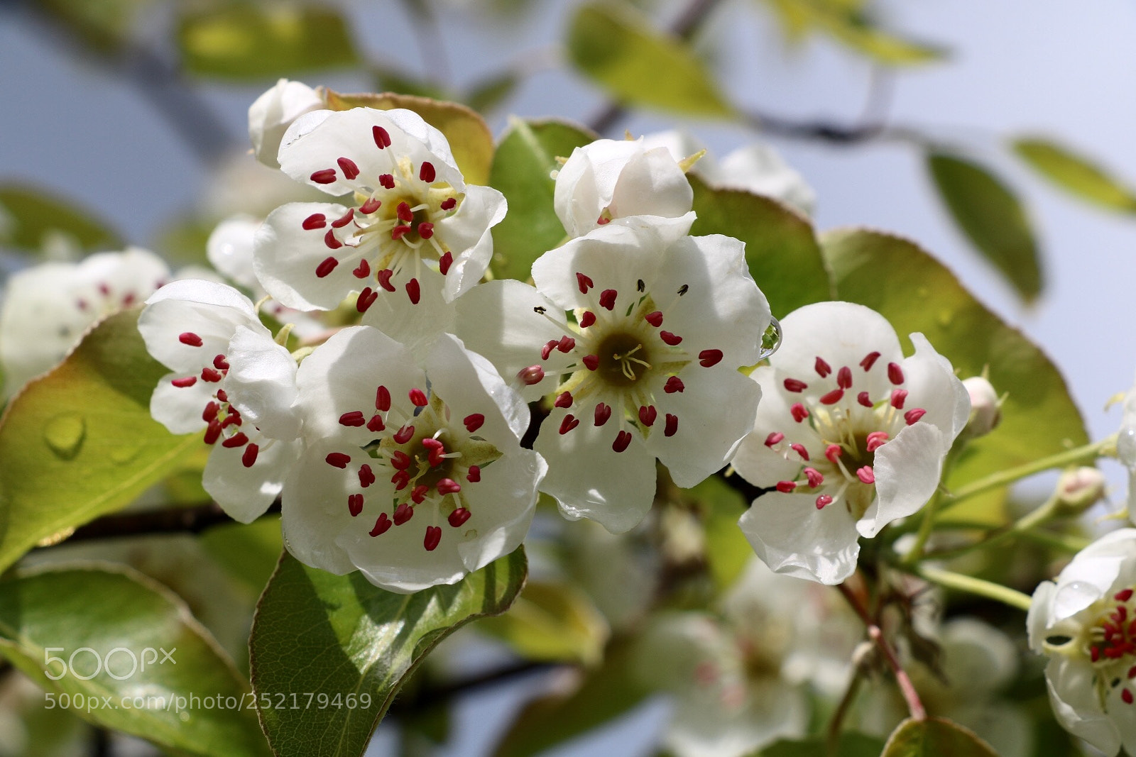 Canon EOS 750D (EOS Rebel T6i / EOS Kiss X8i) sample photo. Untitled photography