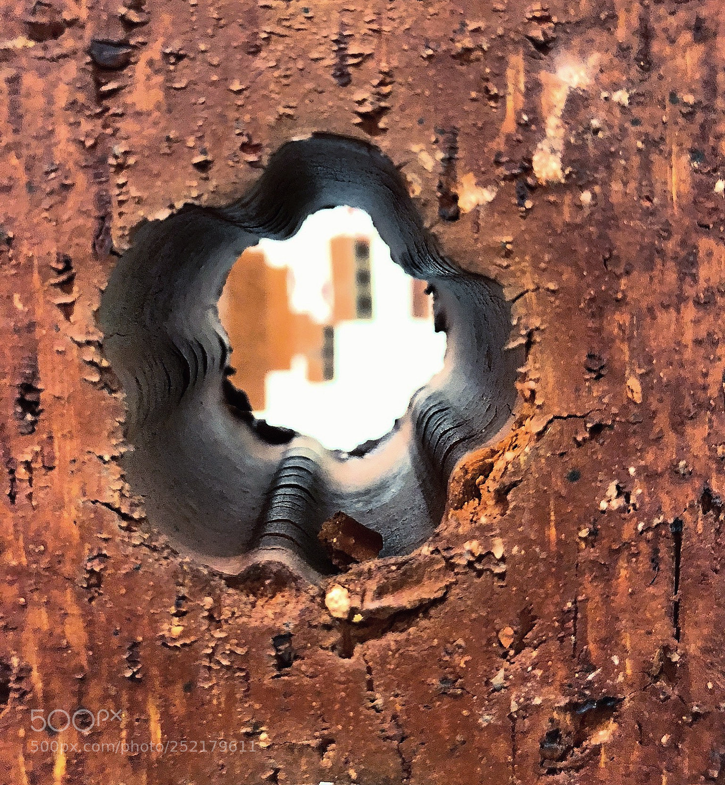 Apple iPhone 8 Plus sample photo. It s not what photography